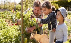 eco-friendly-parenting