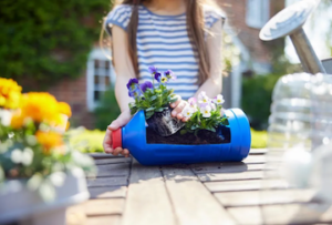 planting